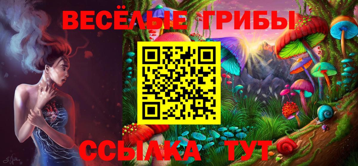 Псилоцибиновые грибы мицелий Чита